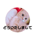 敬語ゆめちゃん❤（個別スタンプ：6）