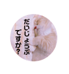 敬語ゆめちゃん❤（個別スタンプ：7）