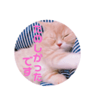 敬語ゆめちゃん❤（個別スタンプ：8）