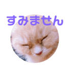 敬語ゆめちゃん❤（個別スタンプ：11）