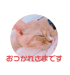 敬語ゆめちゃん❤（個別スタンプ：12）