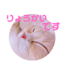 敬語ゆめちゃん❤（個別スタンプ：13）