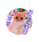 敬語ゆめちゃん❤（個別スタンプ：14）