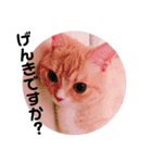敬語ゆめちゃん❤（個別スタンプ：16）