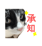ボク、ろく。2（個別スタンプ：8）