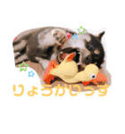 再あずきさん（個別スタンプ：2）