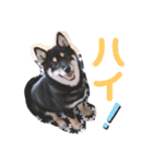再あずきさん（個別スタンプ：5）