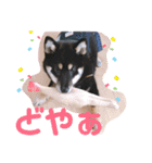 再あずきさん（個別スタンプ：7）