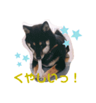 再あずきさん（個別スタンプ：10）