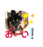 再あずきさん（個別スタンプ：16）