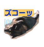 再あずきさん（個別スタンプ：17）