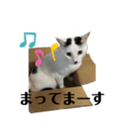lala every day（個別スタンプ：11）