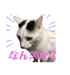 lala every day（個別スタンプ：13）