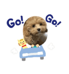 まるたろうまる（個別スタンプ：8）