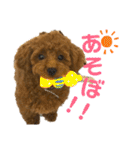 ぽぽんぷ（個別スタンプ：22）