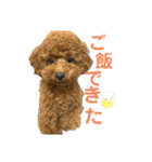 ぽぽんぷ（個別スタンプ：26）