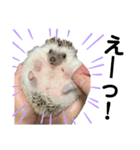 ハリネズミのうにまるくん（個別スタンプ：8）