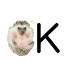 ハリネズミのうにまるくん（個別スタンプ：18）