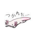 ウーパールーパーと愉快な仲間たち（個別スタンプ：5）
