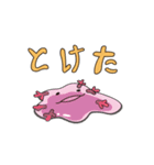 ウーパールーパーと愉快な仲間たち（個別スタンプ：6）