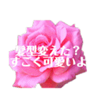 愛を伝えたい系スタンプ（個別スタンプ：3）