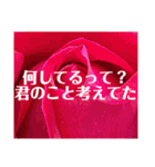愛を伝えたい系スタンプ（個別スタンプ：4）
