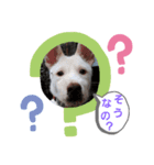ドンとアーロ その 1（個別スタンプ：5）