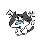 ネコぱぷ（個別スタンプ：1）