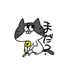 ネコぱぷ（個別スタンプ：4）