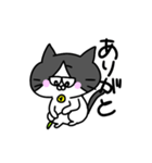 ネコぱぷ（個別スタンプ：10）