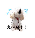 日常ポピスタンプ（個別スタンプ：4）