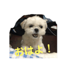 トミ子！2（個別スタンプ：2）