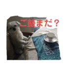 トミ子！2（個別スタンプ：8）