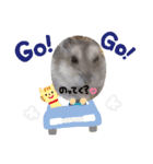 まめたスタンプ3（個別スタンプ：4）