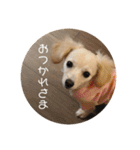 使いやすいマロン（個別スタンプ：4）