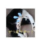 わたし、ひびにゃんよ！（個別スタンプ：2）