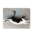 わたし、ひびにゃんよ！（個別スタンプ：14）