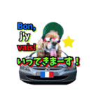 アメリカンコッカー帽子犬SHU2大阪（個別スタンプ：7）