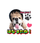アメリカンコッカー帽子犬SHU2大阪（個別スタンプ：11）