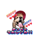 アメリカンコッカー帽子犬SHU2大阪（個別スタンプ：16）