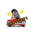 アメリカンコッカー帽子犬SHU2大阪（個別スタンプ：38）