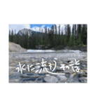 旅人用（個別スタンプ：5）