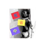 ほのぼのワンコライフ（個別スタンプ：8）