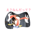 若ハゲマジシャン シギのスタンプ（個別スタンプ：2）