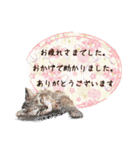 和柄ねこ (大人敬語)（個別スタンプ：2）