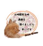 和柄ねこ (大人敬語)（個別スタンプ：4）