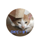 悪ガキのお返事（個別スタンプ：2）