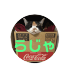 悪ガキのお返事（個別スタンプ：3）