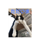 悪ガキのお返事（個別スタンプ：4）