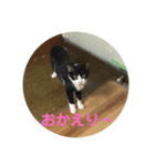 悪ガキのお返事（個別スタンプ：5）